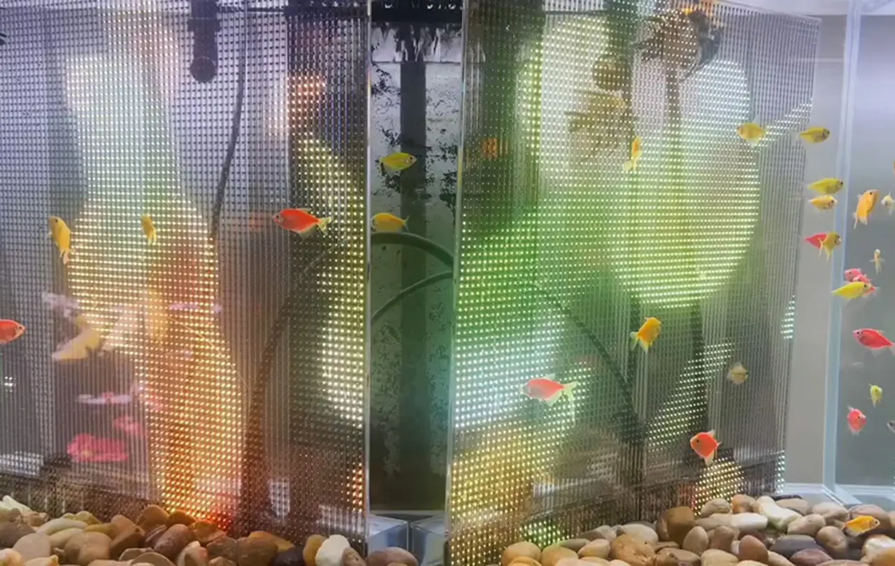 Diving Screen Series (1)827