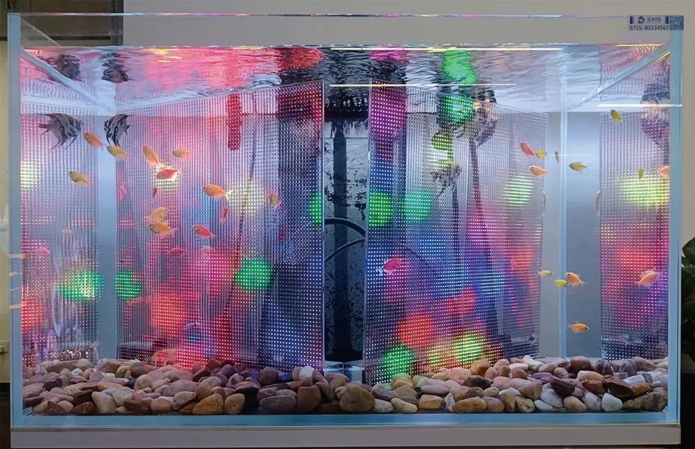 aaapicturenq2