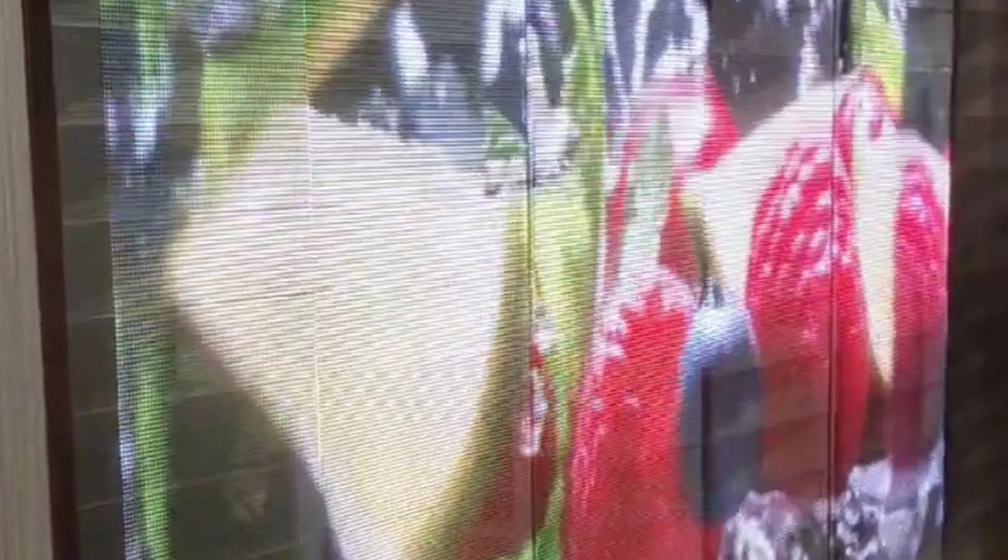 P4 transparent LED film screen (3)gh6