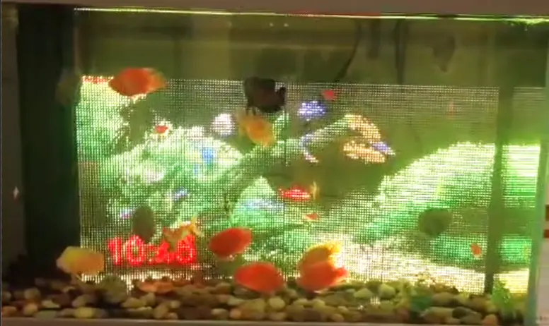 Outdoor Waterproof Led Screen