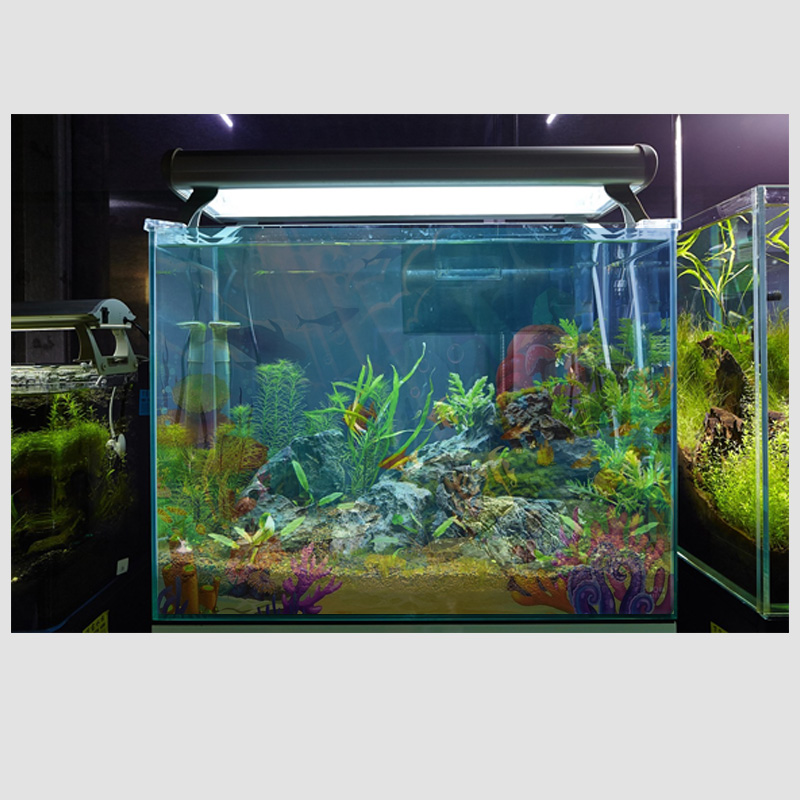 P20LED transparent film underwater screen technology