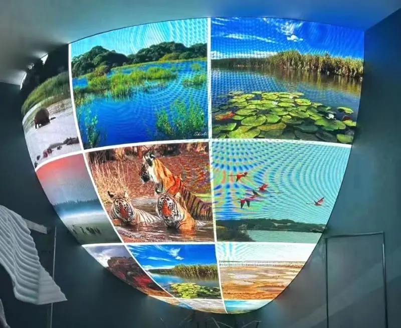 Special Shaped Screen