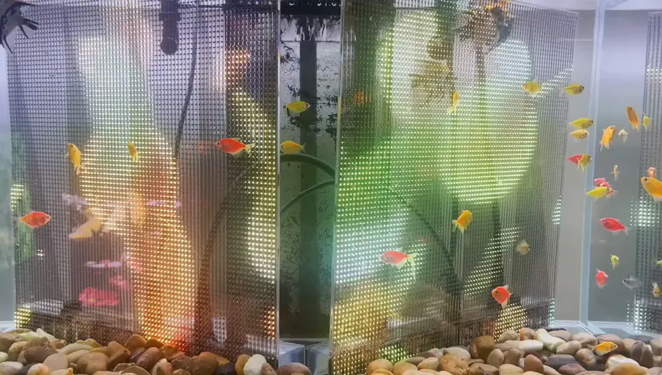 P4 transparent film underwater waterproof LED display screen (3)ppt