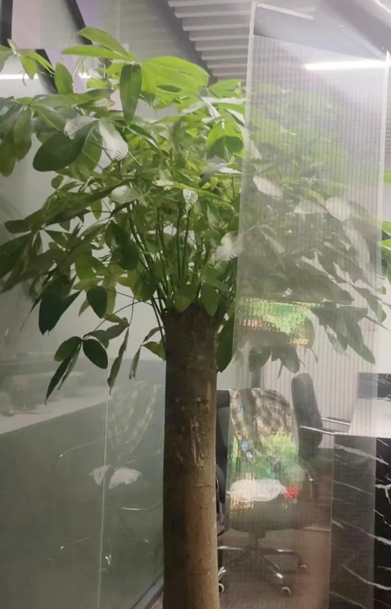 Thin Flexible Screen