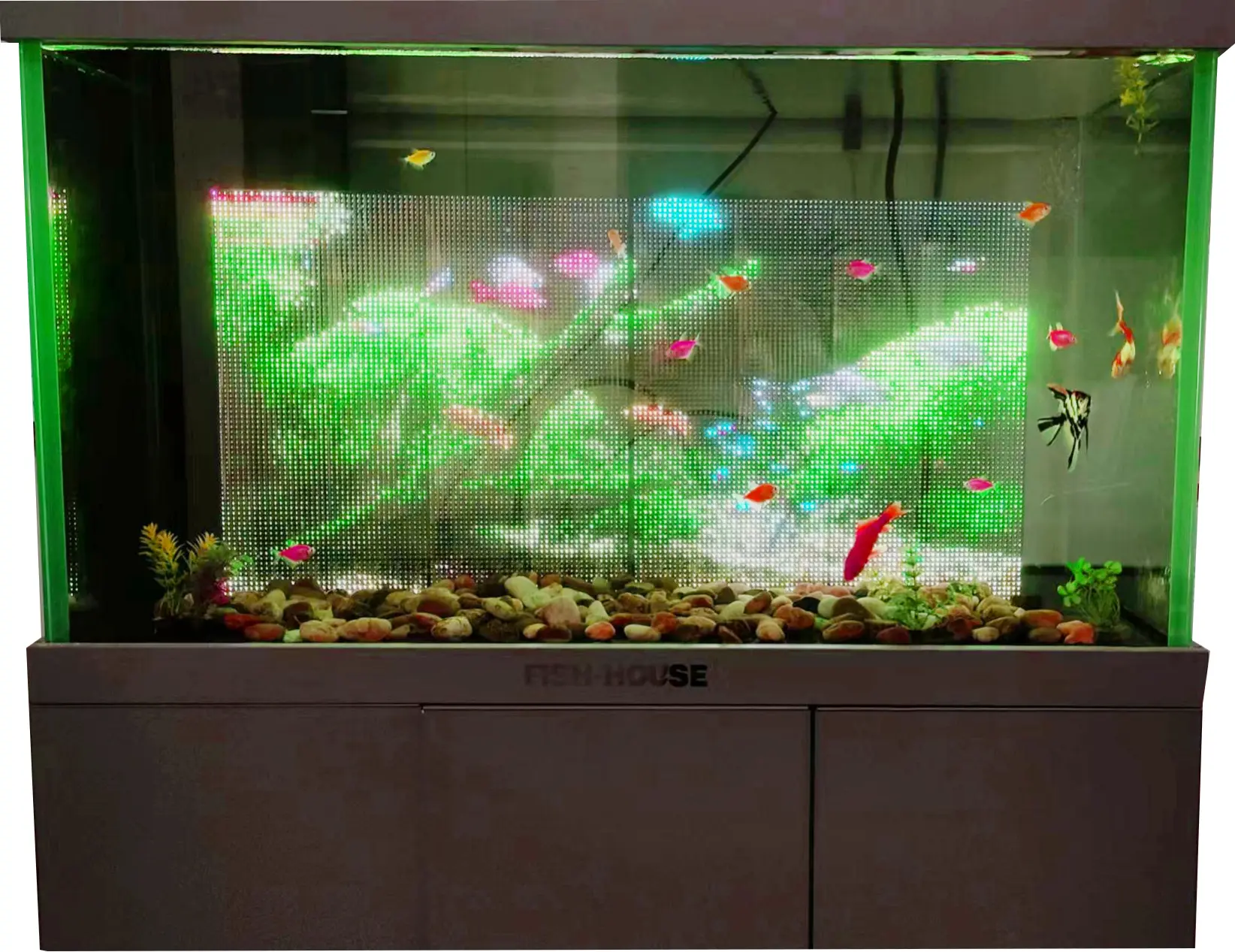 Custom Transparent Underwater Screen